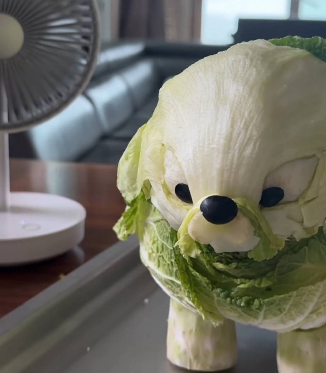 Kimchi, a dog made of napa cabbage